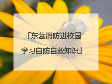 东营消防进校园 学习自防自救知识