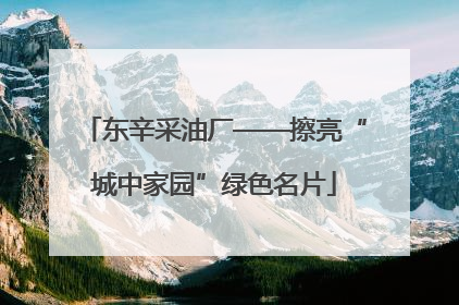 东辛采油厂——擦亮“城中家园”绿色名片