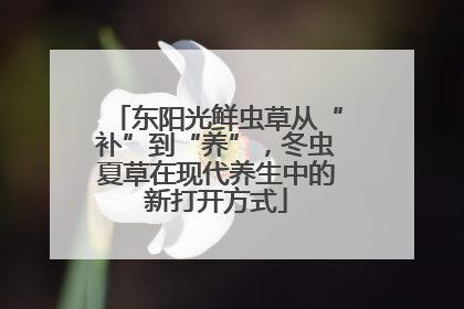 东阳光鲜虫草从“补”到“养”，冬虫夏草在现代养生中的新打开方式