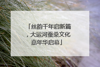 丝韵千年启新篇，大运河蚕桑文化嘉年华启幕