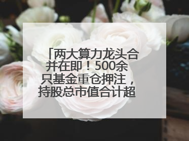 两大算力龙头合并在即！500余只基金重仓押注，持股总市值合计超380亿元