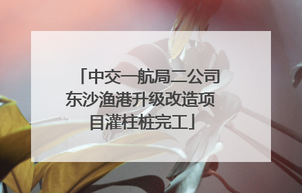 中交一航局二公司东沙渔港升级改造项目灌柱桩完工