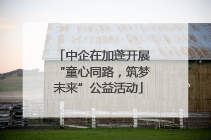 中企在加蓬开展“童心同路，筑梦未来”公益活动