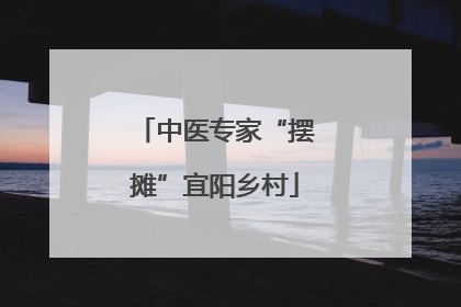 中医专家“摆摊”宜阳乡村