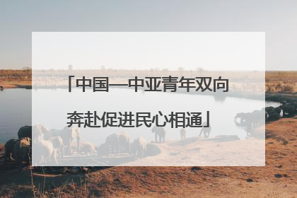 中国—中亚青年双向奔赴促进民心相通