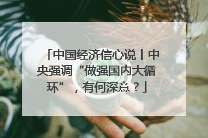 中国经济信心说丨中央强调“做强国内大循环”，有何深意？