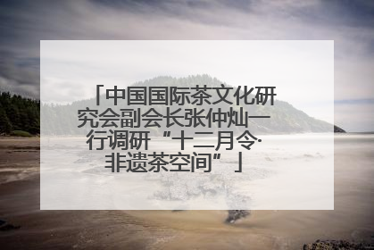 中国国际茶文化研究会副会长张仲灿一行调研“十二月令·非遗茶空间”