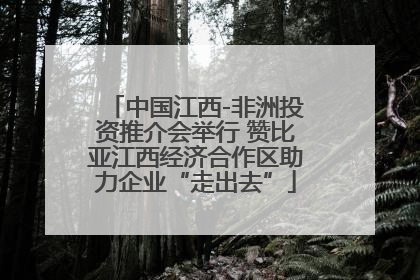 中国江西-非洲投资推介会举行 赞比亚江西经济合作区助力企业“走出去”