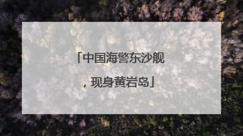 中国海警东沙舰，现身黄岩岛