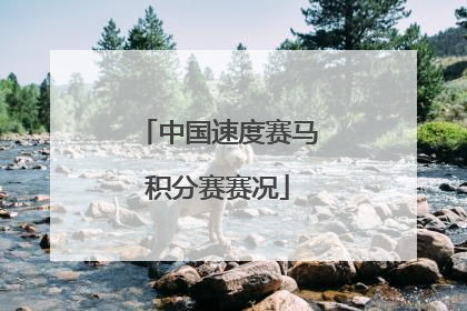 中国速度赛马积分赛赛况