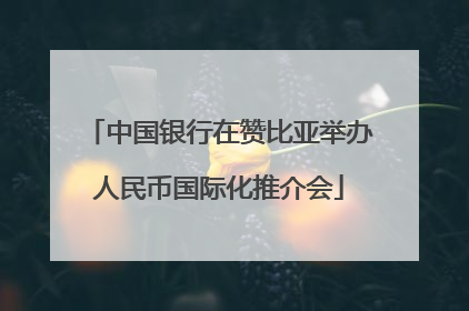中国银行在赞比亚举办人民币国际化推介会