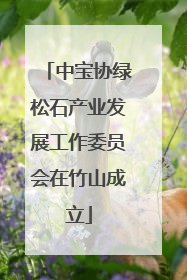 中宝协绿松石产业发展工作委员会在竹山成立