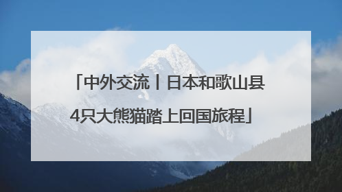 中外交流丨日本和歌山县4只大熊猫踏上回国旅程