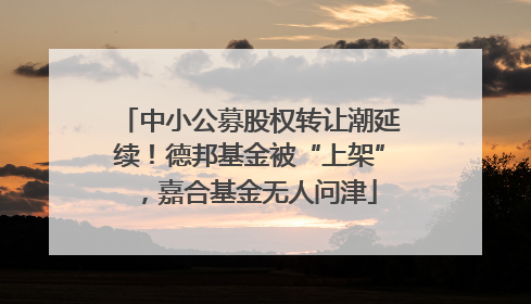 中小公募股权转让潮延续！德邦基金被“上架”，嘉合基金无人问津