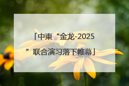 中柬“金龙-2025”联合演习落下帷幕