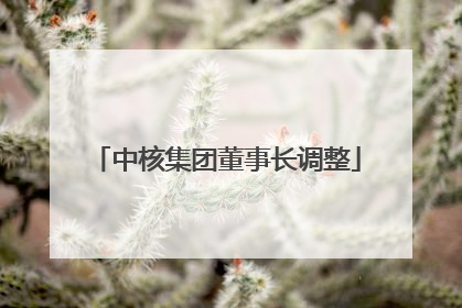 中核集团董事长调整