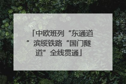 中欧班列“东通道”滨绥铁路“国门隧道”全线贯通