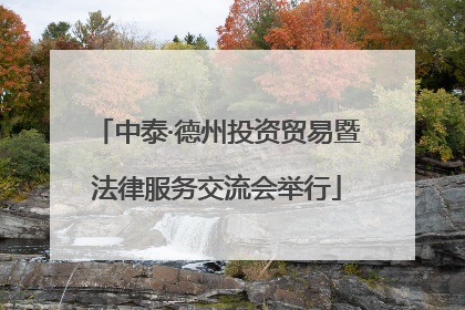 中泰·德州投资贸易暨法律服务交流会举行