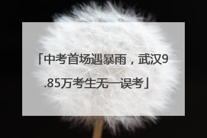 中考首场遇暴雨，武汉9.85万考生无一误考