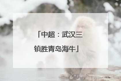 中超：武汉三镇胜青岛海牛