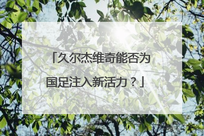 久尔杰维奇能否为国足注入新活力？