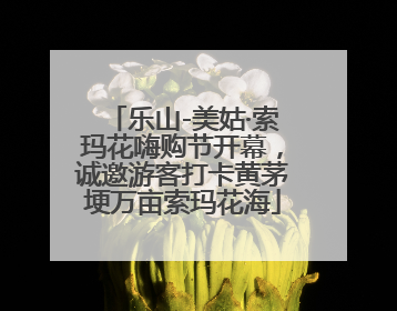 乐山-美姑·索玛花嗨购节开幕，诚邀游客打卡黄茅埂万亩索玛花海