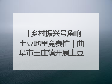 乡村振兴号角响 土豆地里竞赛忙｜曲阜市王庄镇开展土豆收获劳动竞赛