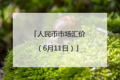 人民币市场汇价（6月11日）