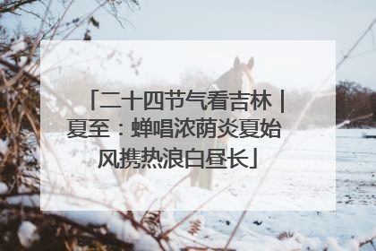 二十四节气看吉林｜夏至：蝉唱浓荫炎夏始 风携热浪白昼长