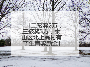 二孩奖2万，三孩奖3万，泰山区北上高村有了生育奖励金