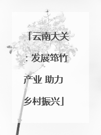 云南大关：发展筇竹产业 助力乡村振兴