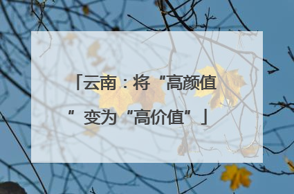 云南：将“高颜值”变为“高价值”
