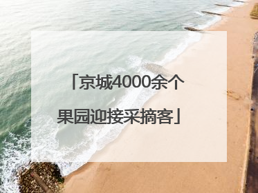 京城4000余个果园迎接采摘客