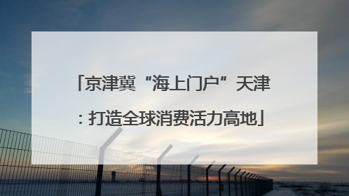 京津冀“海上门户”天津：打造全球消费活力高地