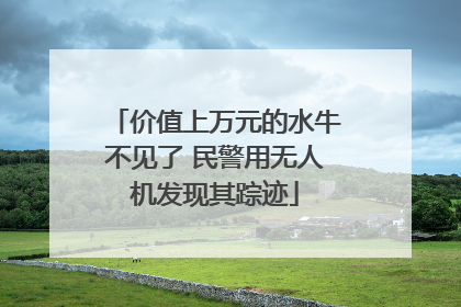 价值上万元的水牛不见了 民警用无人机发现其踪迹