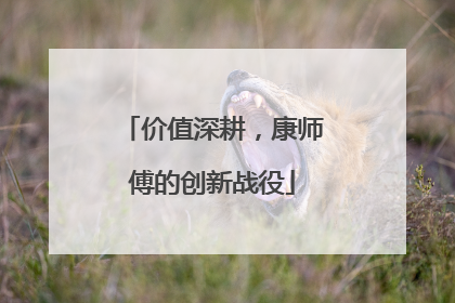 价值深耕，康师傅的创新战役