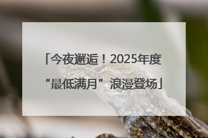 今夜邂逅！2025年度“最低满月”浪漫登场
