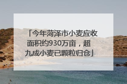 今年菏泽市小麦应收面积约930万亩，超九成小麦已颗粒归仓