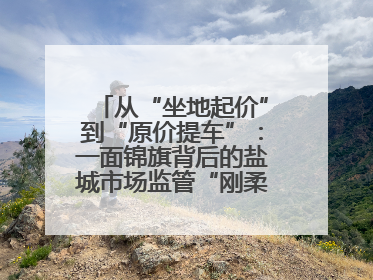 从“坐地起价”到“原价提车”：一面锦旗背后的盐城市场监管“刚柔并济”