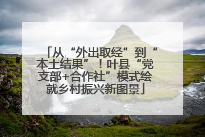 从“外出取经”到“本土结果”！叶县“党支部+合作社”模式绘就乡村振兴新图景