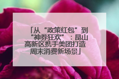 从“政策红包”到“神券狂欢”：昆山高新区携手美团打造周末消费新场景