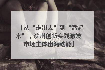 从“走出去”到“活起来”，滨州创新实践激发市场主体出海动能