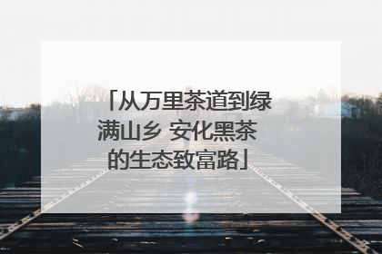 从万里茶道到绿满山乡 安化黑茶的生态致富路