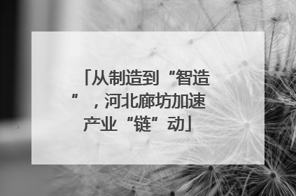 从制造到“智造”，河北廊坊加速产业“链”动
