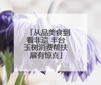 从品美食到看非遗 丰台玉树消费帮扶展有惊喜