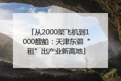 从2000架飞机到1000艘船：天津东疆“租”出产业新高地