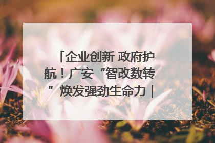 企业创新 政府护航！广安“智改数转”焕发强劲生命力｜市州焕新力