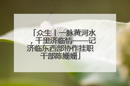 众生丨一脉黄河水，千里济临情——记济临东西部协作挂职干部陈姗姗