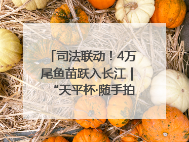 司法联动！4万尾鱼苗跃入长江｜“天平杯·随手拍”作品展播