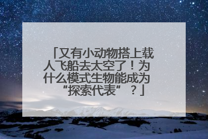 又有小动物搭上载人飞船去太空了！为什么模式生物能成为“探索代表”？